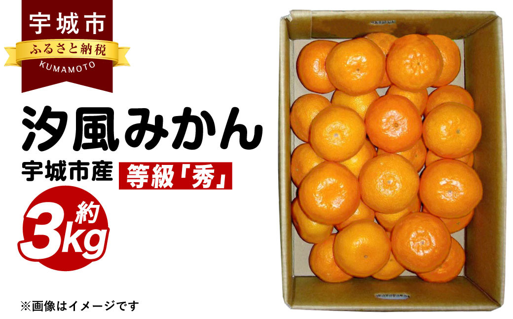 宇城市産 汐風みかん 等級「秀」約3kg 【のむちゃん農園】【11月上旬から2025年1月下旬発送予定】みかん オレンジ 果物 フルーツ 熊本県 