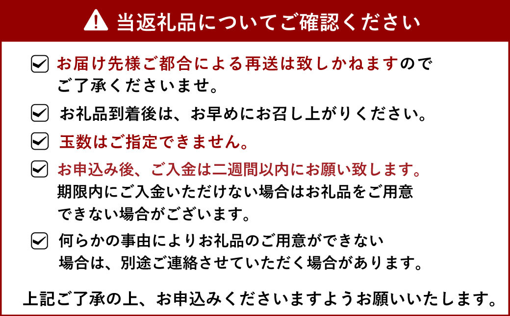 【先行予約】宇城市産 ハウス栽培 不知火 約3kg【うちやま果樹園】【2025年2月下旬から6月下旬発送予定】フルーツ 果物 くだもの 柑橘 しらぬい