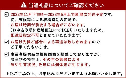 【11月下旬～順次発送予定】ミニトマト 合計約6kg（3kg×2箱）プチトマト 熊本産 宇城彩館