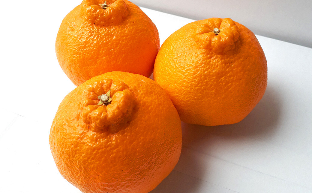 【2023年3月上旬～順次発送予定】宇城市産 不知火 木村果樹園 約5kg（15玉～22玉前後）柑橘 果物