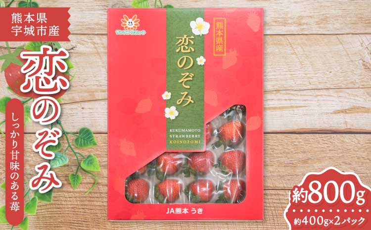 【2025年12月上旬〜2026年3月下旬頃発送予定】いちご 恋のぞみ 約400g×2パック 合計約800g