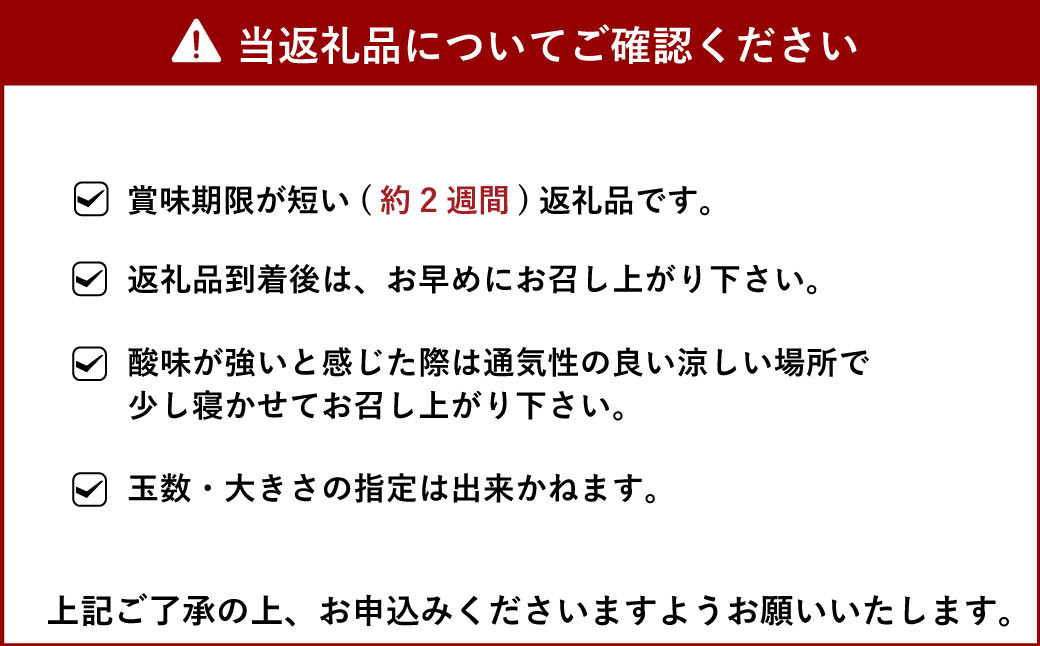 【先行受付】山口さん家の露地でこ不知火 約5kg L～3L 大小混合 【2025年2月上旬から3月下旬発送予定】柑橘 果物 フルーツ