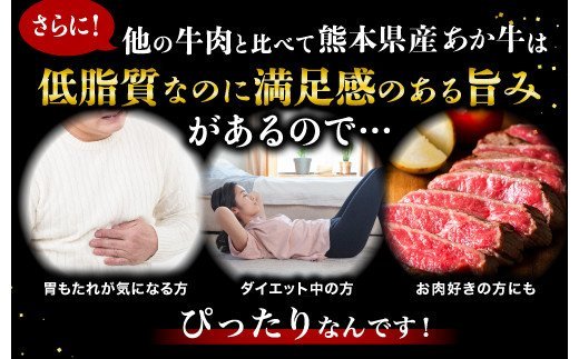 【熊本県産】 あか牛 を堪能できる ステーキ と ハンバーグ セット モモステーキ 250g×2枚 ハンバーグ 150g×10個 計2kg