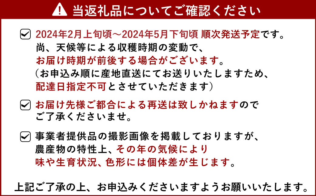 【2024年2月上旬より順次発送予定】不知火 約3kg 化粧箱入り 津志田果樹園