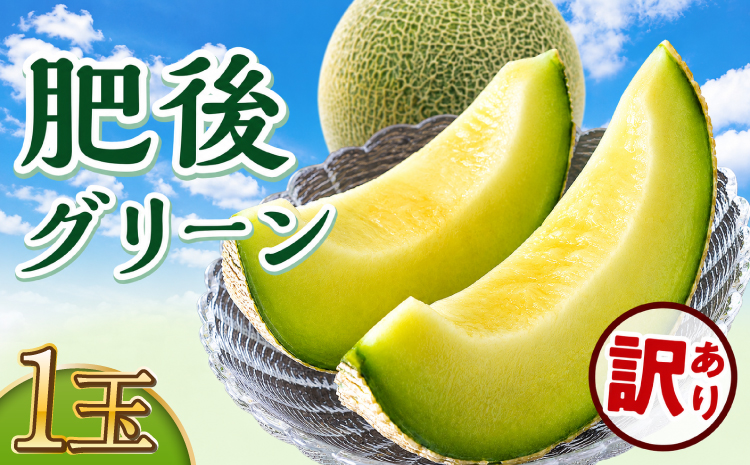 訳あり 肥後グリーン 1玉 【2026年7月上旬～7月下旬頃発送予定】めろん ワケアリ フルーツ 果物 メロン 青肉メロン めろん 肥後グリーン 熊本 熊本県 九州 国産 規格外 不揃い 高糖度 やわらかい 果汁 果肉 美味しい 絶品 産地直送 くまふる