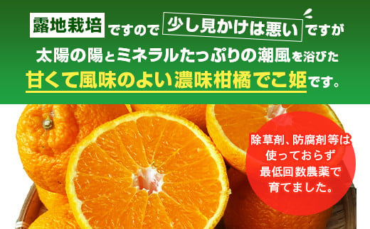 【先行受付】訳あり 不知火 でこ姫 約5kg（約18～25玉）【吉田レモニー】【2025年4月上旬～2025年5月下旬発送】しらぬい 柑橘 フルーツ 果物