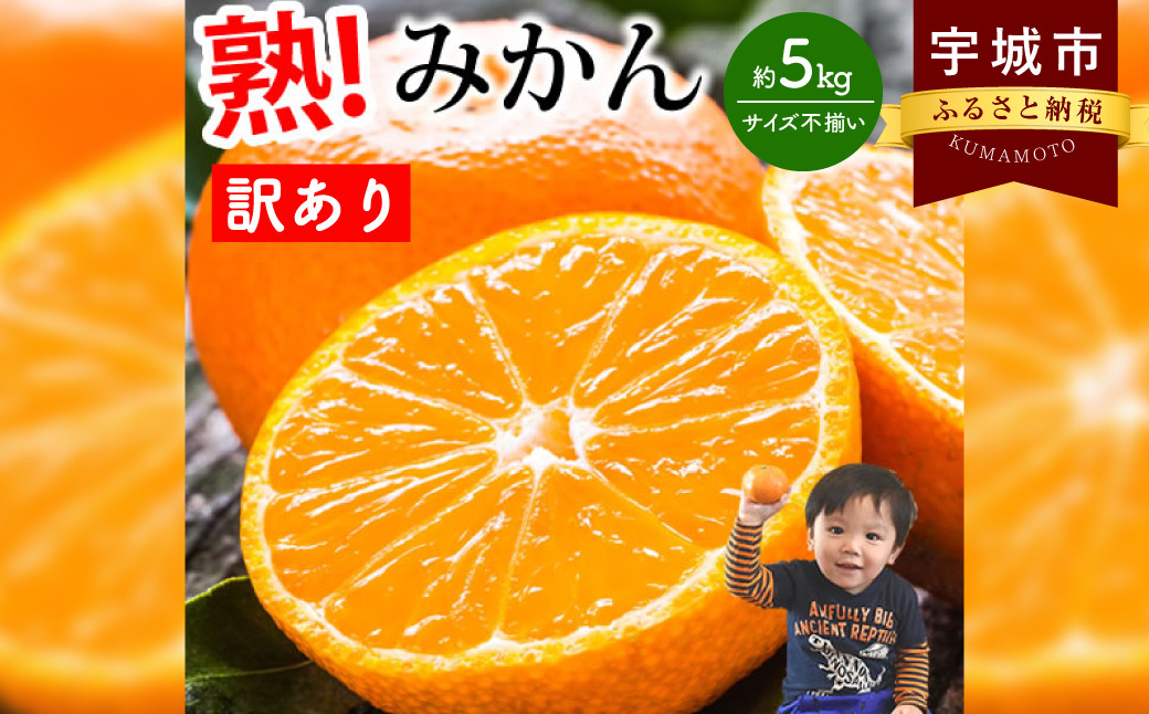 訳あり みかん 5kg【2024年10月上旬から2025年2月下旬発送予定】柑橘 フルーツ 果物 くだもの 規格外 不揃い