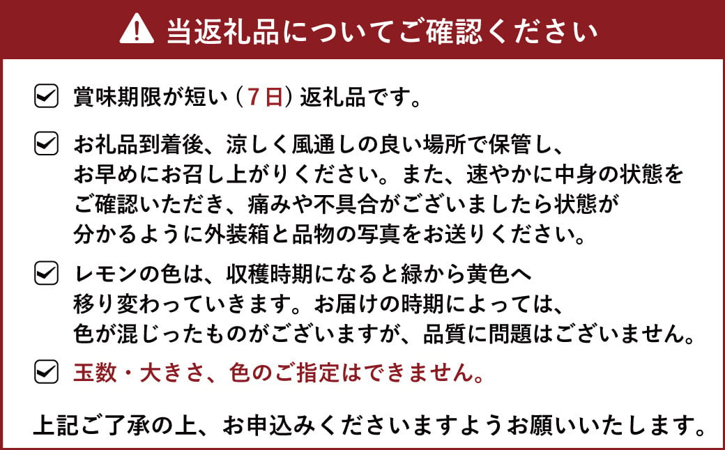 国産 マイヤーレモン 約3kg 15〜20玉【吉田レモニー】【2024年9月下旬〜2025年6月上旬発送】れもん 柑橘 かんきつ