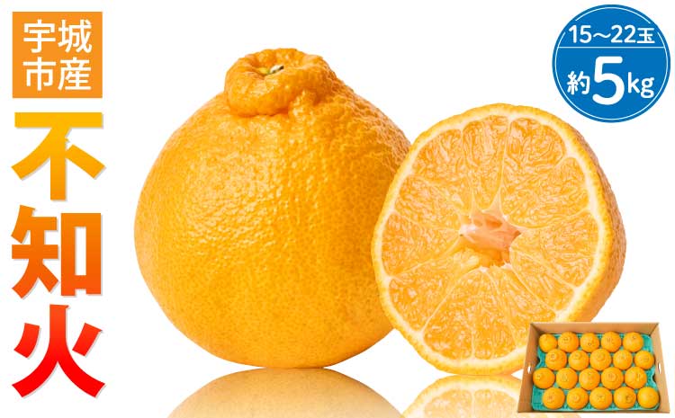 先行予約 不知火 約5kg（15～22玉） 【2026年3月上旬~2026年4月上旬頃発送予定】 しらぬい 蜜柑 ミカン 柑橘 国産 九州 宇城市産【株式会社la Nui.】