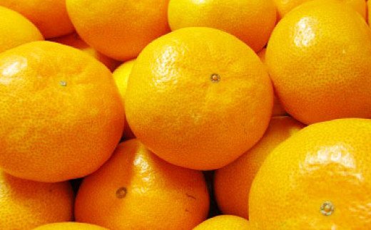 【11月上旬〜順次発送予定】早生みかん(美味柑）約5kg 果物 フルーツ 柑橘 宇城彩館