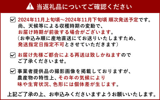 【先行予約】メロン（アールスメロン）約3.4kg（約1.7kg×2玉）【11月上旬から11月下旬発送予定】