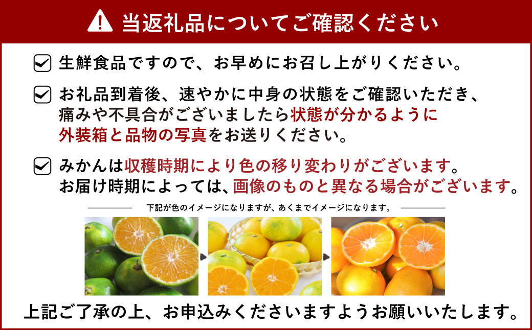 宇城市産 尾崎 早生 温州みかん 8kg（60個前後） ひでみかん 【11月上旬から12月下旬発送予定】柑橘 果物 くだもの お取り寄せ 熊本県 宇城市