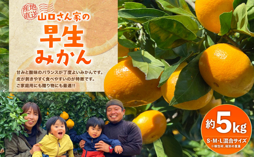 山口さん家の早生みかん 約5kg 【10月上旬から11月下旬発送予定】柑橘 みかん 果物 フルーツ