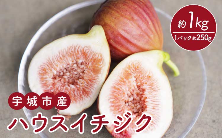 【先行予約】 ハウスイチジク 約1kg（約250g×4パック） 【合同会社宝Farm】【2026年5月下旬〜8月下旬頃順次発送予定】※離島配送不可