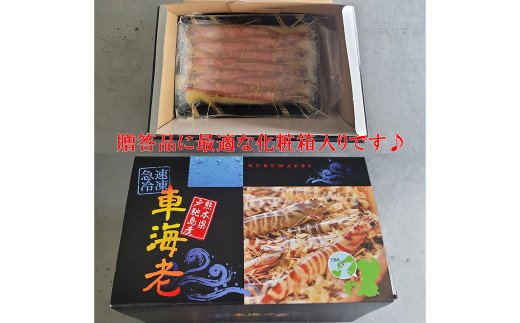 車海老の味噌漬【ニンニク】（中〜大サイズ）計500g（250g×2）海老 えび 味噌漬け にんにく味