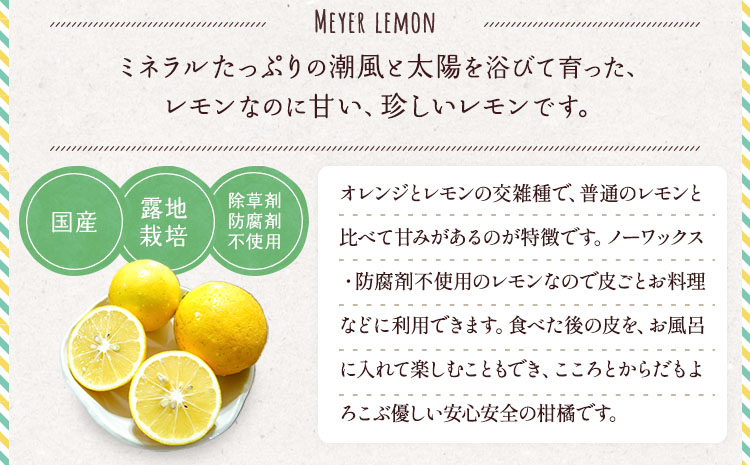 ã¬ã¢ã³ ãã€ã€ãŒã¬ã¢ã³ çŽ3kg 15ïœ20ç ãåç°ã¬ã¢ããŒãã2025幎9æäžæ¬-2026幎6æäžæ¬çºéã ææ© å®ååžç£ çæ¬çç£ ä¹å·ç£ åœç£