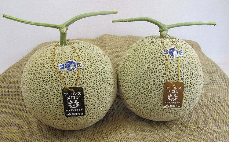 【先行予約】【2026年6月上旬〜6月下旬頃発送予定】アールスメロン 2玉入り 合計約3.4kg