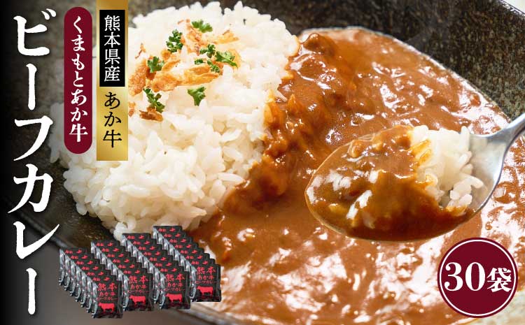 熊本県産あか牛使用 くまもとあか牛 ビーフカレー 30人前 カレー あか牛