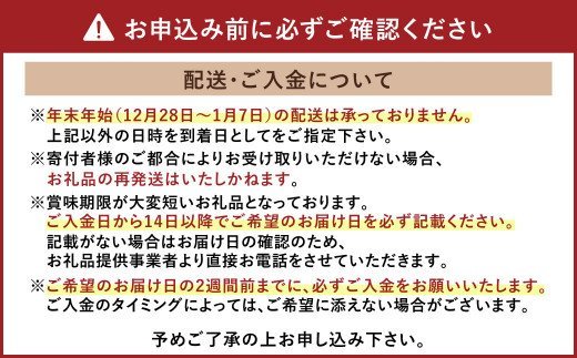 【11月上旬～順次発送予定】熊本県産 活き 車海老 大サイズ 厳選品 約1kg（22～34尾程度）エビ えび 活き海老