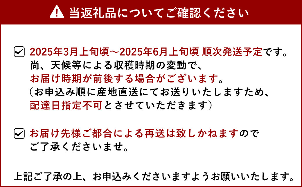 【先行予約】路地栽培 元祖 不知火 約3kg【2025年3月上旬から6月上旬発送予定】フルーツ 果物 くだもの 柑橘 しらぬい