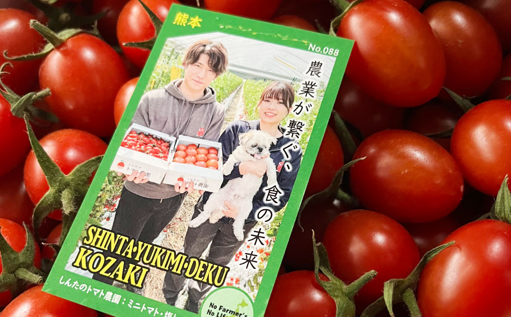 宇城市産 フルーツトマト アイコ 約2kg しんたのトマト農園