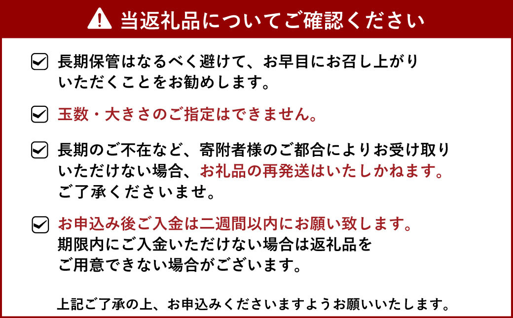 先行受付 ユーレカ レモン 約2kg（20玉前後）【清水果樹園】【2025年9月下旬から11月下旬発送予定】