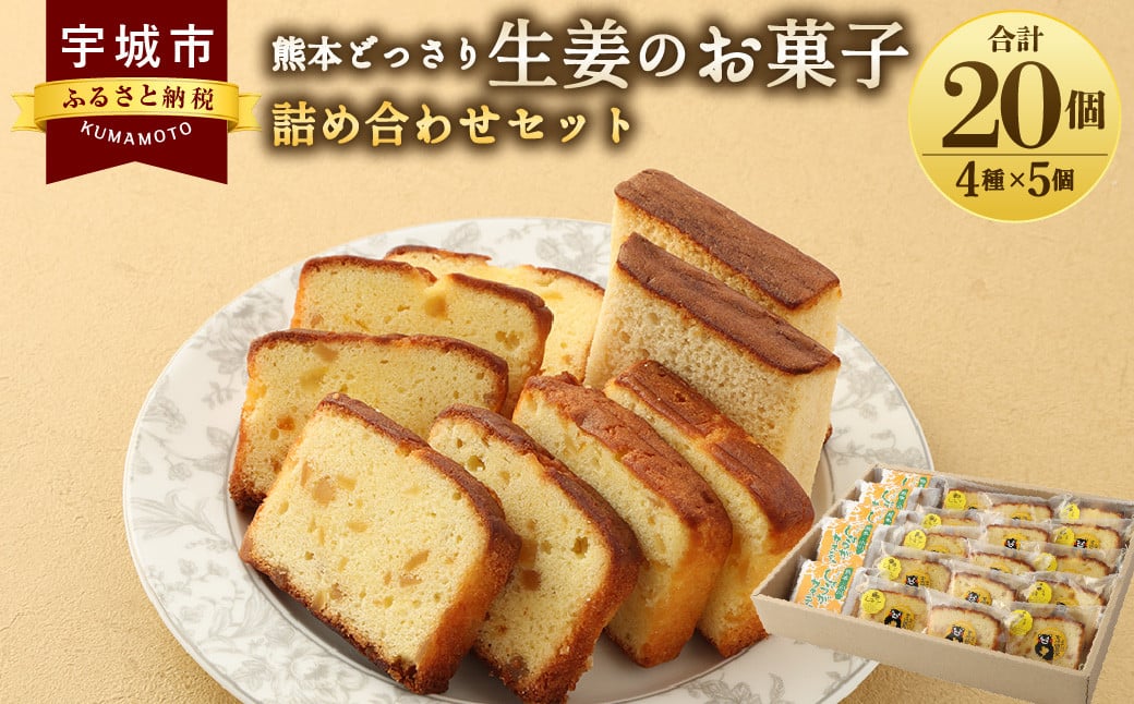 しょうが カステラ パウンドケーキ 熊本どっさり生姜のお菓子 詰め合わせ セット