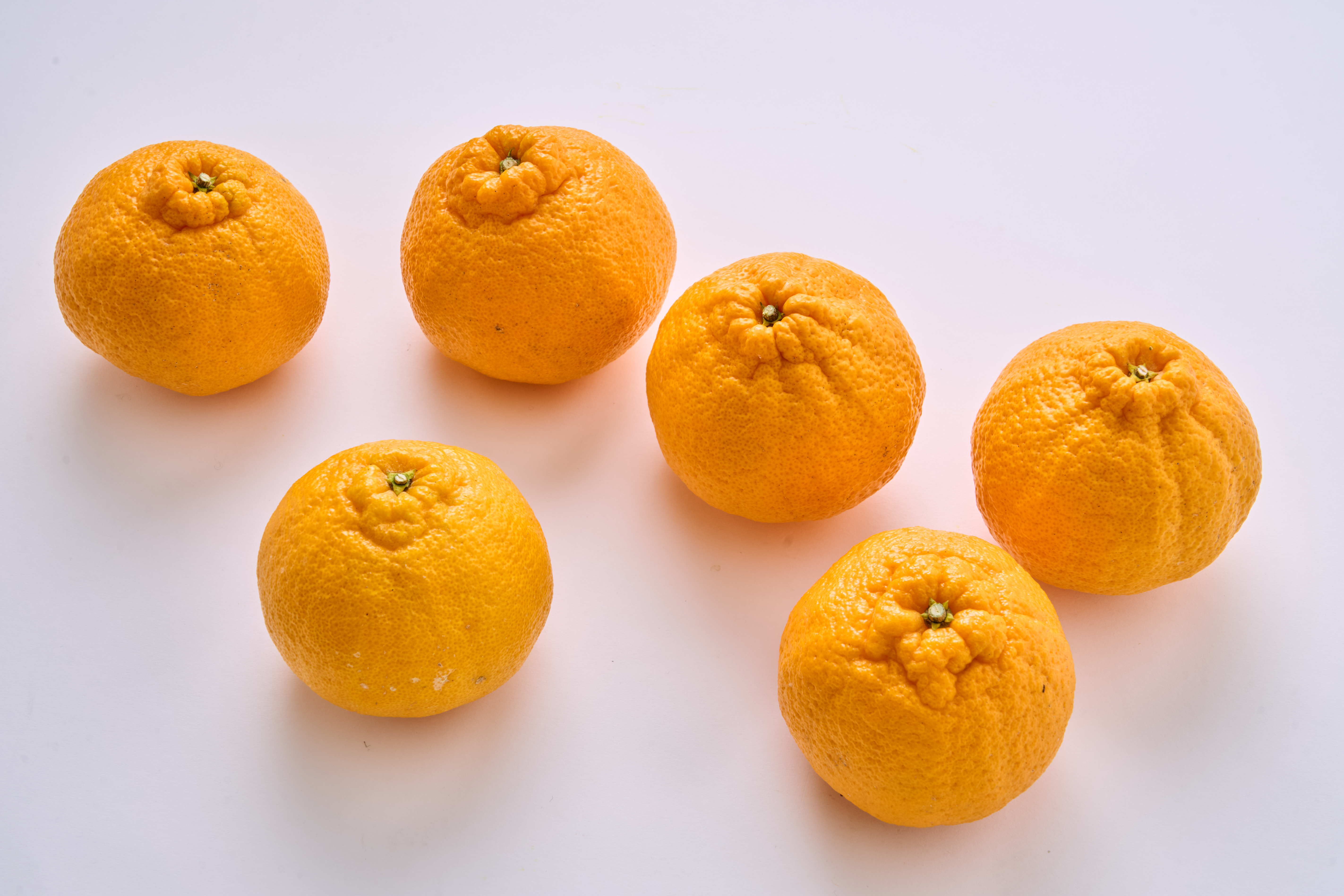 å
è¡äºçŽ èš³ãã äžç¥ç« æããäžç¥ç« éžã¹ã容é çŽ10kg ã2026幎4æäžæ¬ãã2026幎6æäžæ¬çºéäºå®ã åŸ¡è©ææš¹å ãããã äžæã ããã¬ã ææ© å®ååž çæ¬çç£