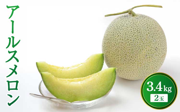 【先行予約】【2026年6月上旬〜6月下旬頃発送予定】アールスメロン 2玉入り 合計約3.4kg