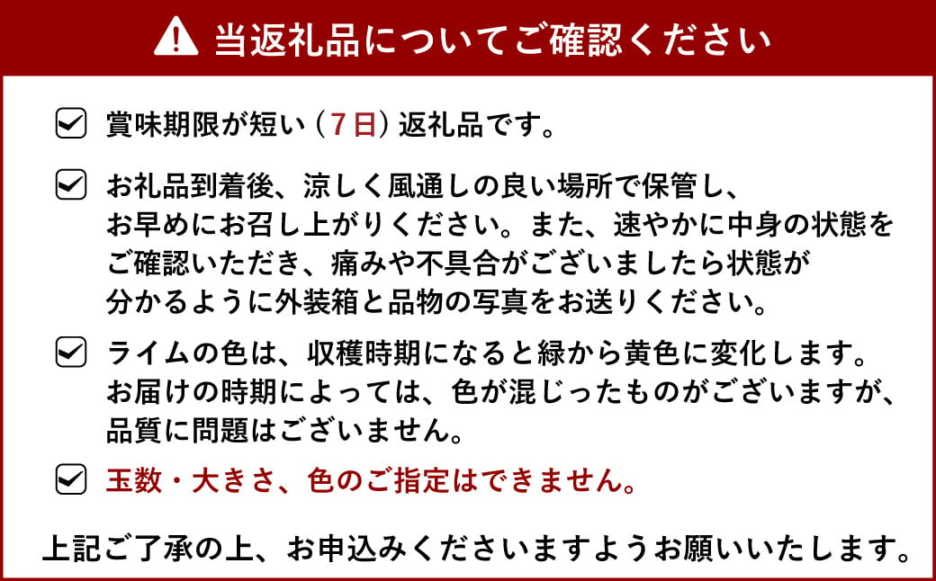 国産 ライム 約1.5kg 10〜20玉【吉田レモニー】【2024年9月下旬〜2025年1月下旬発送】柑橘 小玉 らいむ