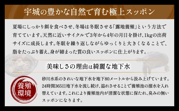 すっぽん 約400g すっぽん鍋 高級 簡単調理 すっぽん料理 スッポン スッポン鍋 加工 スッポン 冷凍肉 約400g