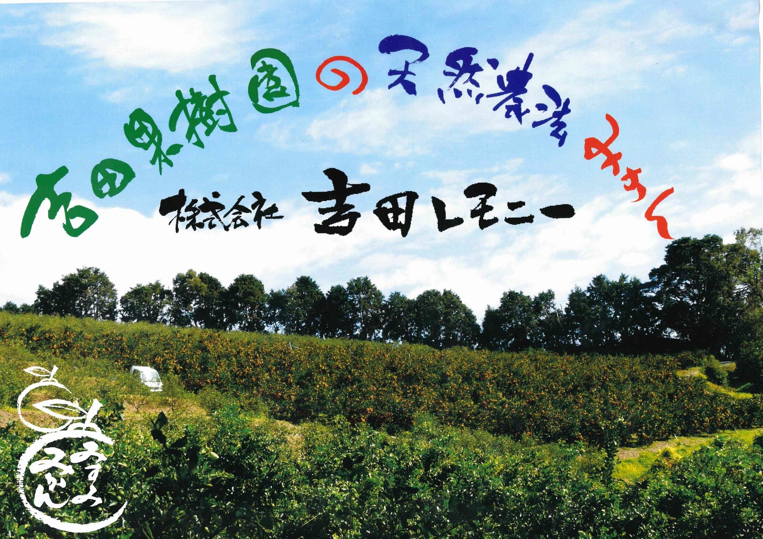 愛紅小町 あいかちゃん 約5kg 45〜55玉 【吉田レモニー】 【2025年10月上旬-2026年1月下旬発送】温州みかん