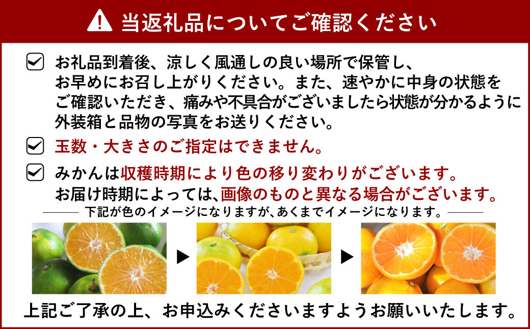 【10月上旬〜順次発送予定】愛紅小町あいかちゃん 約3kg 吉田レモニー 温州みかん