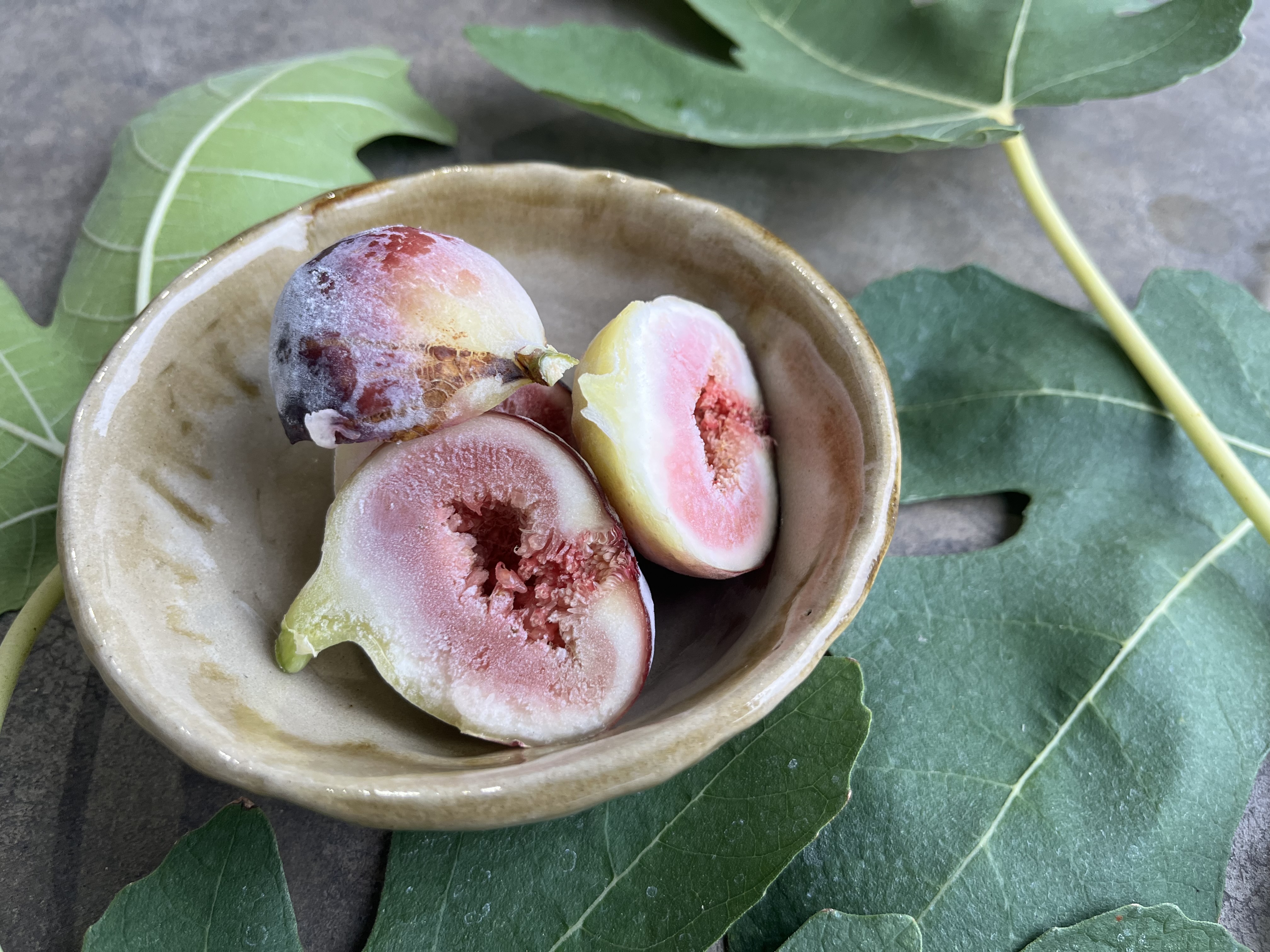 訳あり 冷凍 イチジク 約1.5kg【合同会社宝Farm】