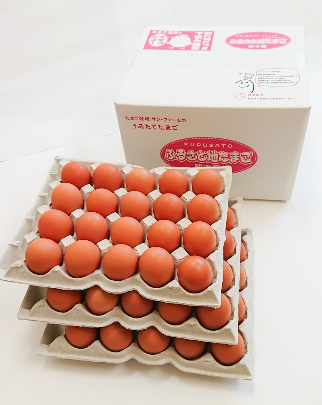 縺オ繧九&縺ィ蝨ー縺溘∪縺 60蛟具シM繝サL繧オ繧、繧コシ牙嵯 襍、縺溘∪縺 10蛟狗エ謳崎」懷─蜷ォ繧