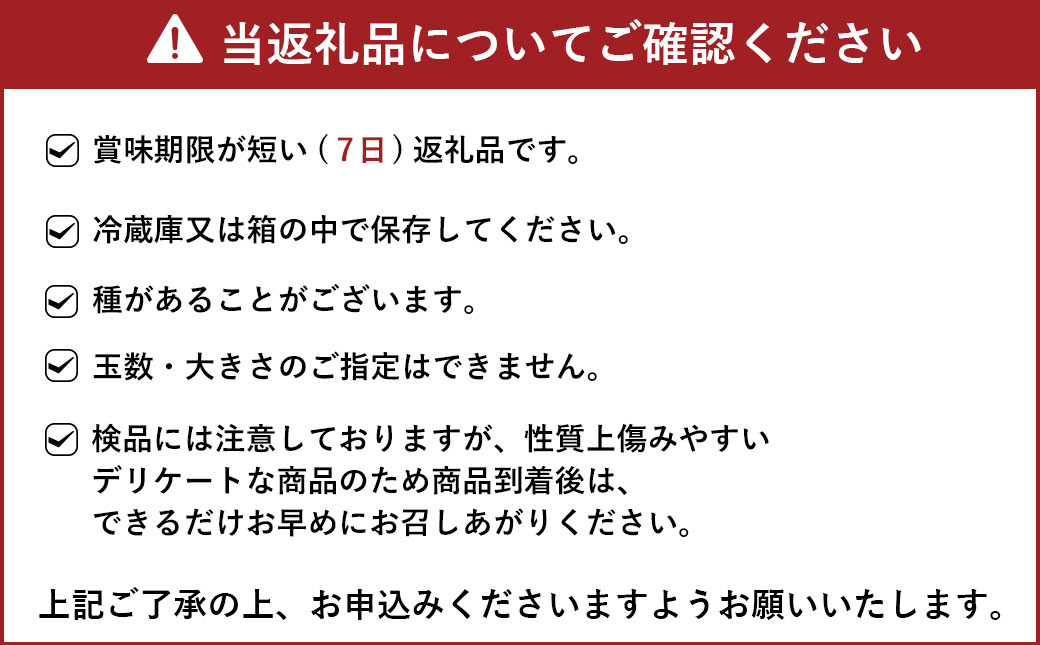 【先行予約】ジューシーオレンジ（河内晩柑）家庭用 10kg【のむちゃん農園】【2025年4月上旬～7月上旬発送予定】みかん ミカン 晩柑 柑橘 宇城市 