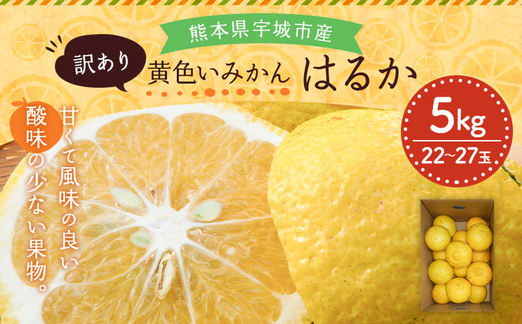 【先行予約】  訳あり はるか 約5kg（22玉〜27玉）【吉田レモニー】【2026年2月上旬〜2026年5月下旬発送】