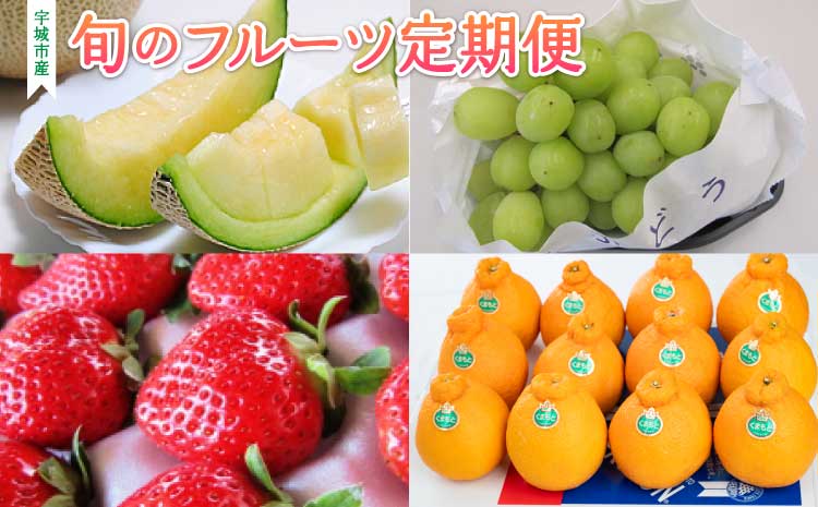 ãå
è¡äºçŽãã2026幎çºéåããå®æäŸ¿4åïŒ2æã»4æã»6æã»8æïŒãå®ååžç£ æ¬ã®ãã«ãŒãå®æäŸ¿