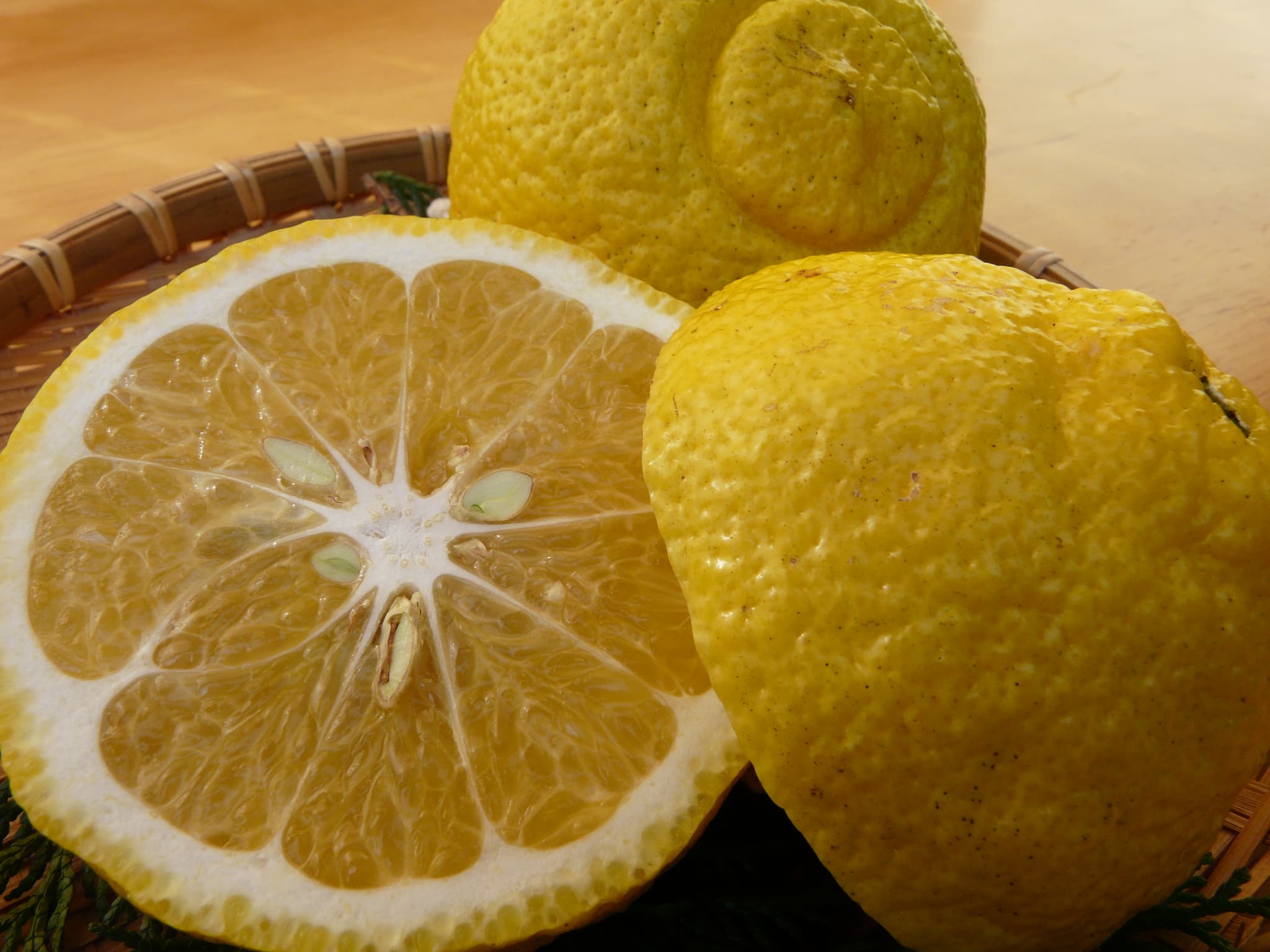 【先行予約】  訳あり はるか 約5kg（22玉〜27玉）【吉田レモニー】【2026年2月上旬〜2026年5月下旬発送】