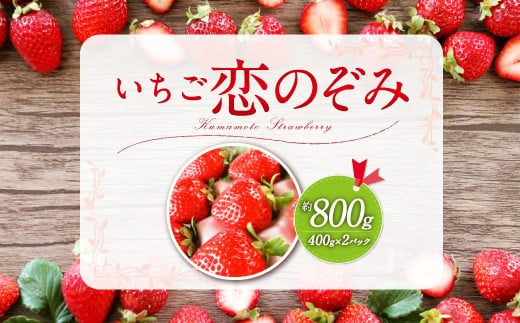 いちご 恋のぞみ 約400g×2パック 合計約800g 【12月上旬から2025年3月下旬発送予定】いちご イチゴ 苺 恋のぞみ フルーツ くだもの 果物 熊本県産 宇城市