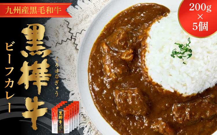 黒樺牛 ビーフカレー 1食 200g×5個 合計1kg 黒毛和牛 カレー