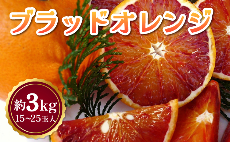 【先行予約】 ブラッドオレンジ 約3kg（15玉〜25玉）【吉田レモニー】【2026年3月上旬〜2026年4月下旬発送】