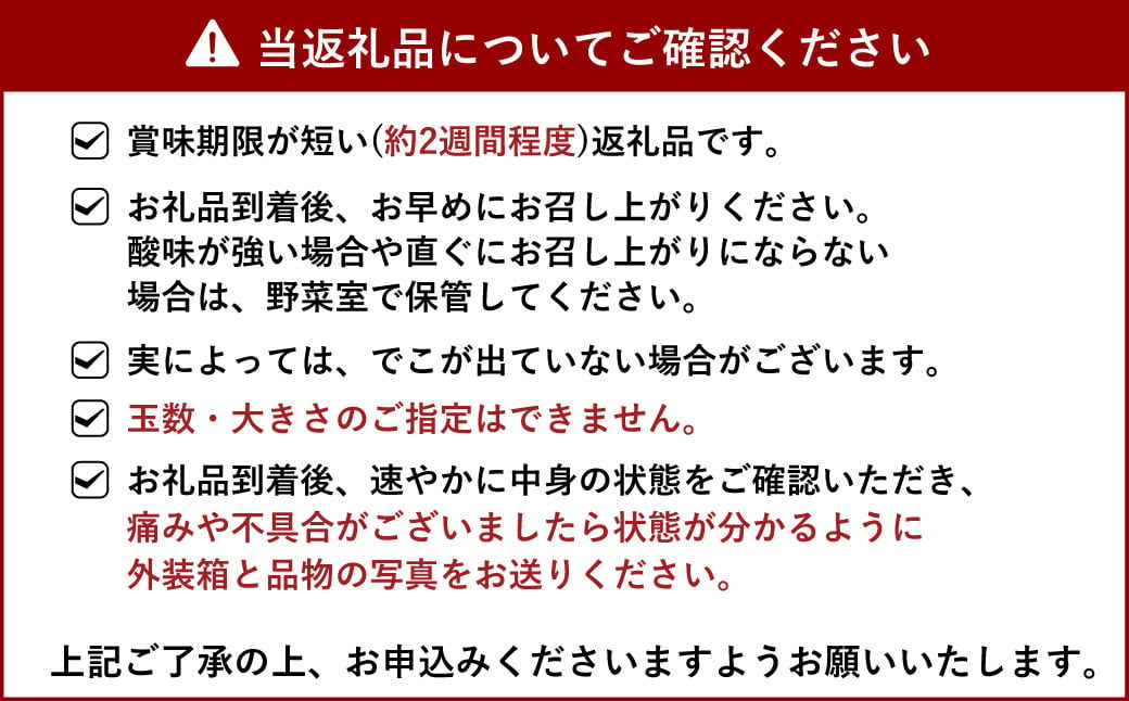 【12月上旬～順次発送予定】 宇城市産 加温栽培 不知火 約3kg(約7玉～10玉) 坂下園