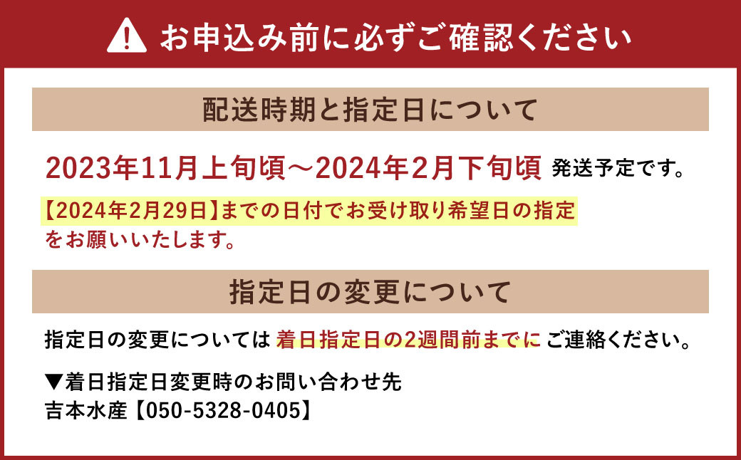 熊本県産 活き車海老 約600g（20～30尾程度）