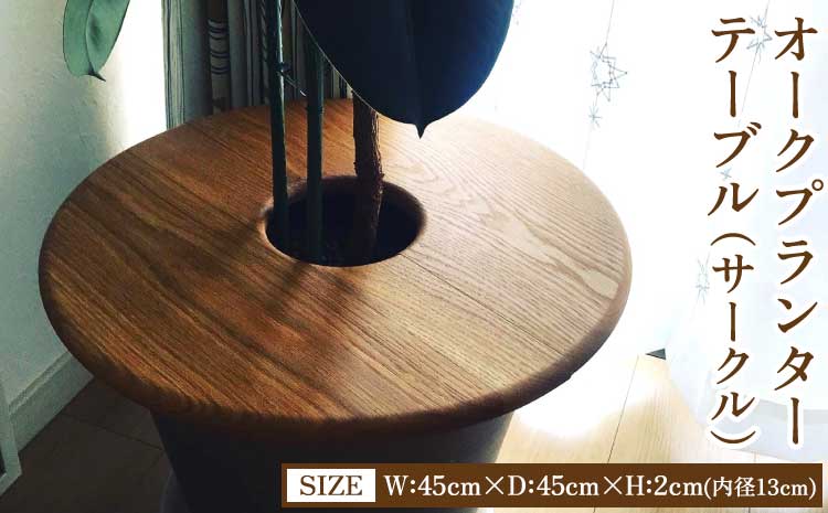 オークプランターテーブル(サークル) オーク 幅45cm×奥行き45cm×高さ2cm(内径13cm) 2.5kg 木製 ウッド インテリア 円形 丸型 植物 シンプル ギフト 贈り物 プレゼント 熊本県 宇城市