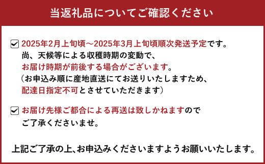 【先行予約】訳あり品 おでこちゃん 約4kg 【2025年2月上旬から3月上旬発送予定】みかん 不知火 柑橘 フルーツ 果物