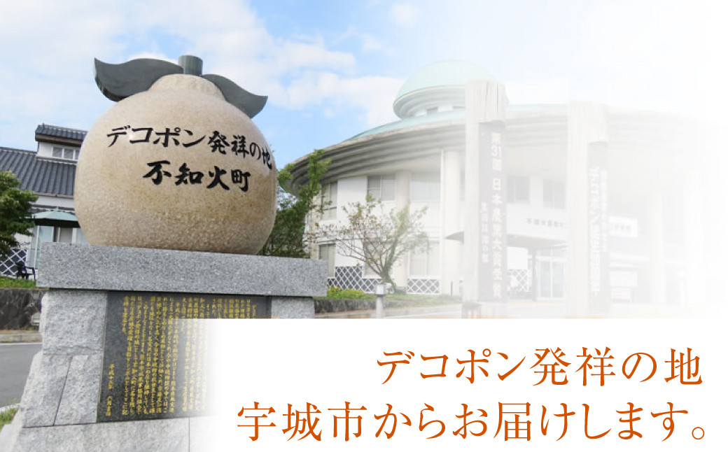 訳あり デコみかん 4.5kg【2025年1月下旬から2025年4月下旬発送予定】  家庭用 規格外 フルーツ みかん 果物 果物 旬