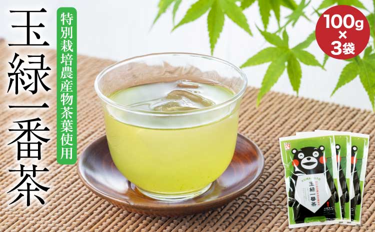 緑茶 お茶 茶葉 100g×3袋 くまモン 玉緑一番茶100g×3袋セット
