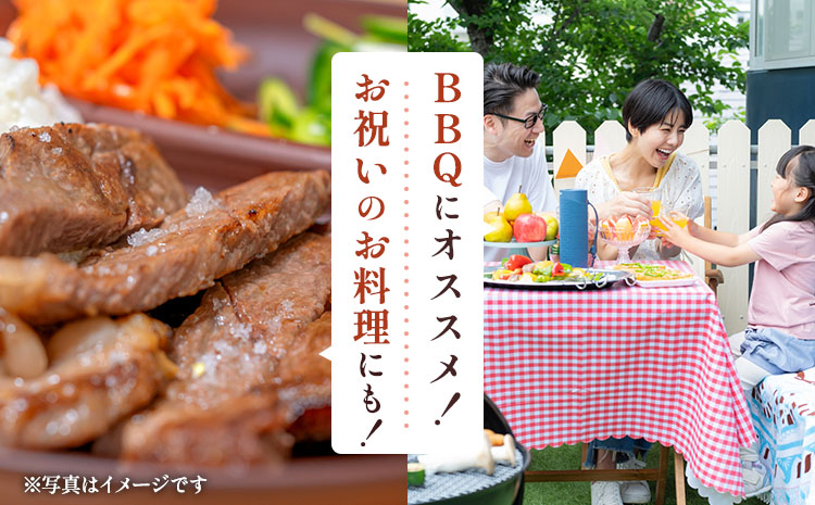 ããŸããšããç ããŒã¹ ã¹ããŒã çŽ800g(çŽ200gÃ4æ) åç çè