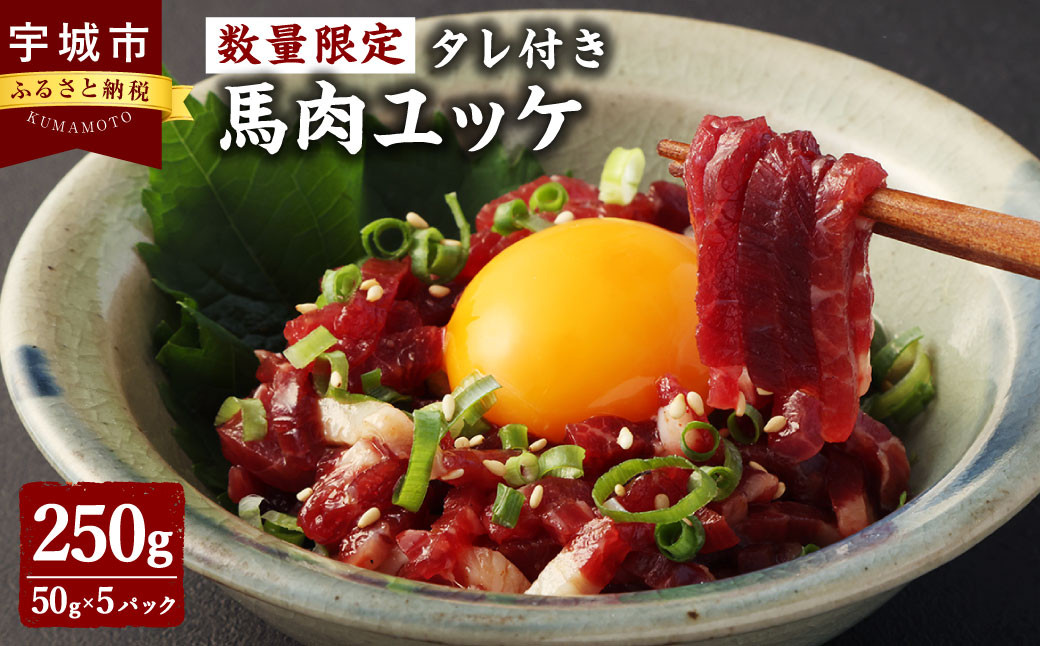 【数量限定】馬肉ユッケ 250g タレ付き 1パック50g 個包装 肉 お肉 馬刺し 馬肉 馬 ユッケ